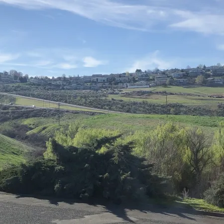 Canyon View