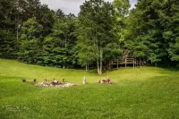 Tlea Farm Mountain Log Cab. 73 Acres of Trails and Horse Paddocks 2 Steams+Lake