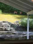 Wooded Cottage near Downtown Franklin & Leiper's Fork!