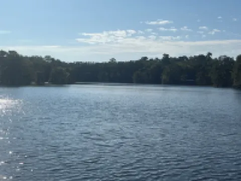 Lakefront tiny cabin amazing view on Lake Marion! Pet friendly & sleeps 6 Hotels in Clarendon County