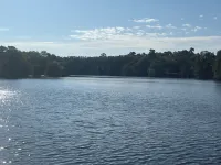 Lakefront tiny cabin amazing view on Lake Marion! Pet friendly & sleeps 6