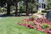 Near Stanford Meta Google. 3 Br 3BA Luxury Home. 2 Car Garage. Fiber High Speed.