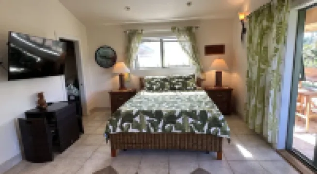 Beautiful, large studio with Mountain views from deck, beach access & A/C