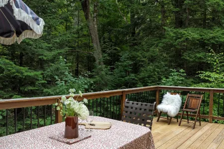 5 Bedroom Family Home on Okemo with A.C. mini-splits for the Summer Season