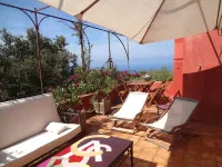 Character House 1ha with trees, Private Pool, Penthouse.