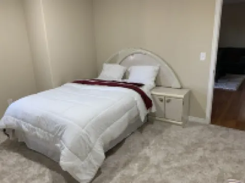 Beautiful, new and spacious walk out basement