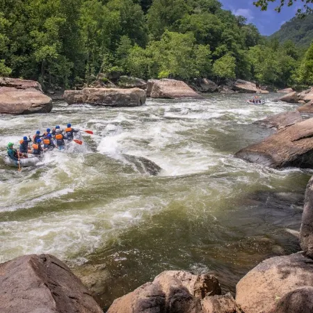 Blackberry Grove 2.0acre+BBQ+FirePit+CornHole+Pets+NewRiverGorge National Park