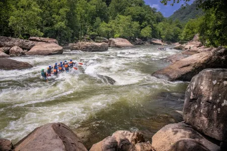 Blackberry Grove 2.0acre+BBQ+FirePit+CornHole+Pets+NewRiverGorge National Park