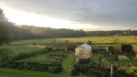 Allgäu peace and serenity in the middle of nature, on a donkey farm - 2-Star