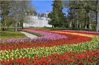 Cour-cheverny Cœur de Village