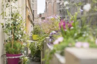 The balcony of the Angiol d'Or - balcony