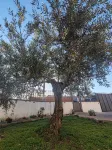 Vacation Home For Families Torre Annunziata Scavi Oplontis, Pompeia, Naples Hotel in zona Rovigliano