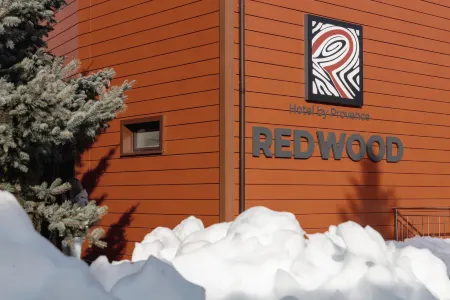 Hotel Red Wood Отели рядом с достопримечательностью «Смотровая поляна 960»