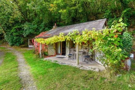 Tin mine riverside retreat, log fires, views, wildlife, ruins, pet-friendly Отели в г. Калсток