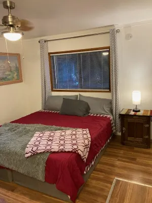 Rustic forest cabin - perfect for solo travelers who cherish privacy and quiet.