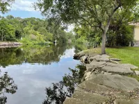 TAMPA FLORIDA VACATION DELIGHT - Homestays