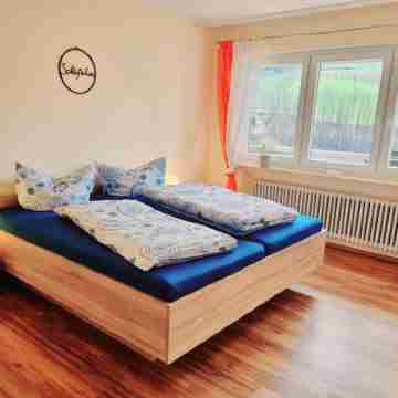 Vacation apartment Panter- dream view in the Black Forest Rooms