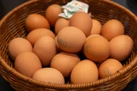 Changwon Palyongdong Hound Hotel Changwon Terminal