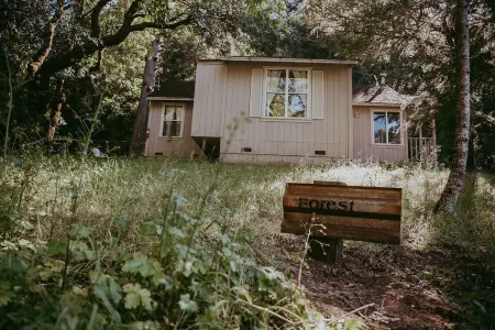 Forest Cottage Отели рядом с достопримечательностью «Сарацина Вайнярдс»