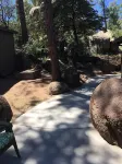 Private neighborhood home in Payson - gorgeous getaway with in town convenience! Hotels in der Nähe von Northern Gila County Historical