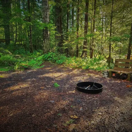 Charming Retreat w/ Woodstove & Old School Movies - Hoodsport / Lake Cushman