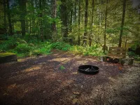 Charming Retreat w/ Woodstove & Old School Movies - Hoodsport / Lake Cushman