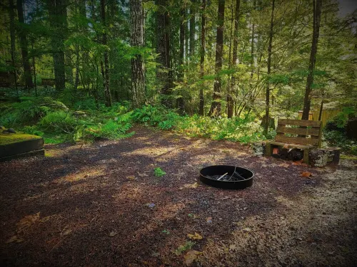 Charming Retreat w/ Woodstove & Old School Movies - Hoodsport / Lake Cushman