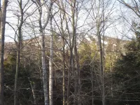 Beautiful Stratton Mountain Condo