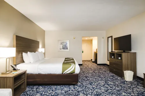 Quality Suites Houston Hobby Airport - Lemmikkieläimet sallittu