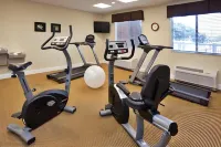 Holiday Inn Express & Suites SOUTHERN PINES-PINEHURST AREA by IHG - Gym