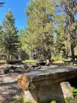 Log Cabin in the Pines near Happys Inn MT!