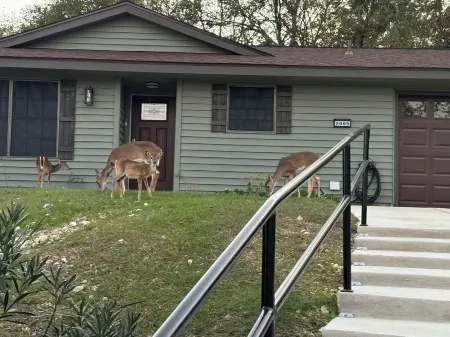 Deer Hill - Charming 3-bedroom house with WiFi and AC overlooking Copperas Cove