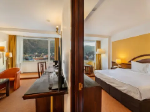 Hotel Aro Palace โรงแรมในบราซอฟ
