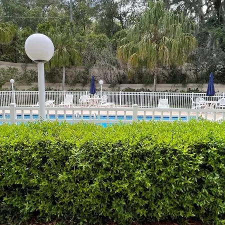 Microtel Inn & Suites by Wyndham Lady Lake/The Villages