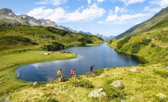 Alpenblick Appartements - 5-zimmer Gartenwohnung