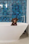 Emery, Autograph Collection - Hot Tub