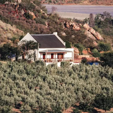 Orange Grove