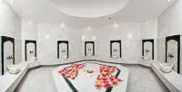 Anemon Grand Malatya Otel - Spa