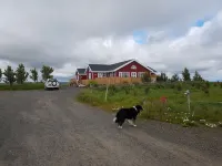 Skálatjörn Guesthouse Hôtels à : Arnessyslu