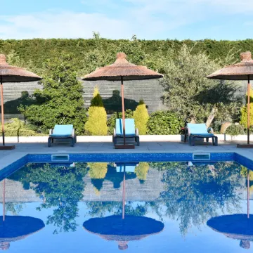 Feel Discovery Maçã Douro