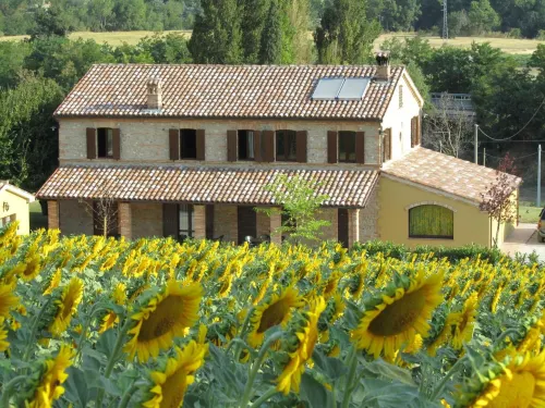Agriturismo la Vecchia Fonte Hôtels à : Arcevia