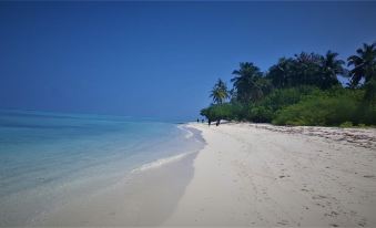 Explore Island Inn