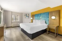 Best Western Plus Raleigh Crabtree Valley Hotel Hotels in House Creek