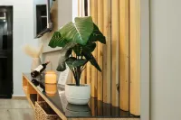 Kashco Apartment Wuse II