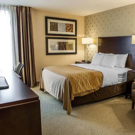 Comfort Inn Bloomington Near University