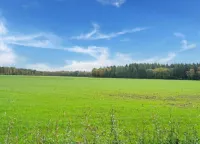 ترانكويل كانتري سايد إسكايب إن جويرلي