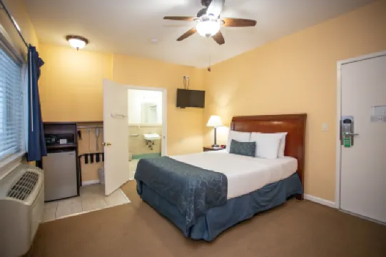 더 호텔 할리우드 할리우드 워크 오브 페임 주변 호텔