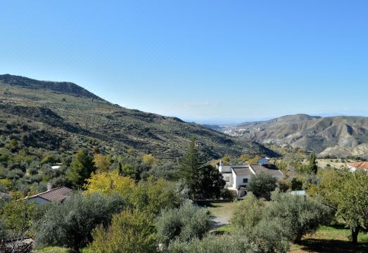 5. 핀카 알바드라..