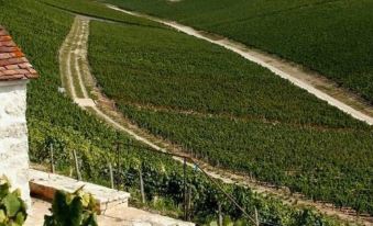 Logis Hostellerie des Clos et Restaurant Bistrot des Grands Crus