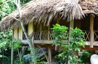 Pu Luong Nature Lodge 2 Hieu Village - Hostel Hotels in Bá Thước District